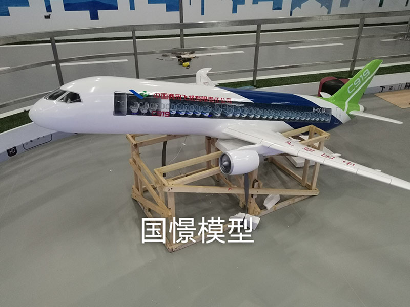 遂平县飞机模型